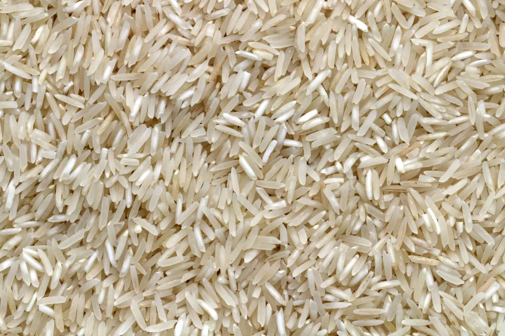 unsplash_-LdilhDx3sk_rice .webp