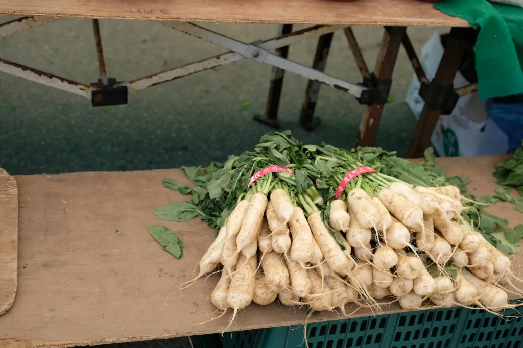 unsplash_SgLrBxw1RFc_Radish .webp
