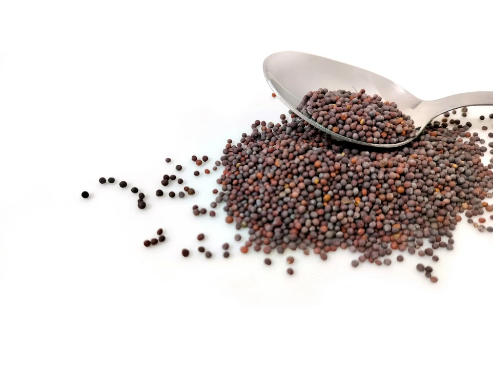 Grain Red Mustard Seeds (লাল সরিষা) 100gm