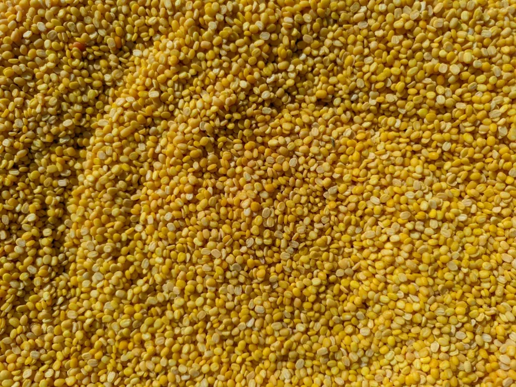 Grain Moong Dal (মুগ ডাল) 500gm